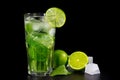 Refreshing summer alcoholic cocktail mojito with ice, fresh mint and lime on dark background Royalty Free Stock Photo