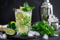 Refreshing summer alcoholic cocktail mojito with ice, fresh mint and lime Royalty Free Stock Photo