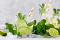 Refreshing summer alcoholic cocktail mojito with ice, fresh mint and lime Royalty Free Stock Photo