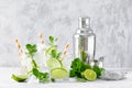 Refreshing summer alcoholic cocktail mojito with ice, fresh mint and lime Royalty Free Stock Photo