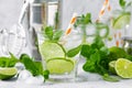 Refreshing summer alcoholic cocktail mojito with ice, fresh mint and lime Royalty Free Stock Photo