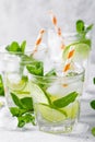 Refreshing summer alcoholic cocktail mojito with ice, fresh mint and lime Royalty Free Stock Photo