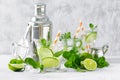 Refreshing summer alcoholic cocktail mojito with ice, fresh mint and lime Royalty Free Stock Photo