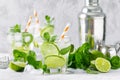 Refreshing summer alcoholic cocktail mojito with ice, fresh mint and lime Royalty Free Stock Photo