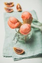 Refreshing summer blood orange ice cream served with orange slice Royalty Free Stock Photo