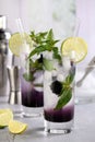 Refreshing summer cocktail Blackberry mojito