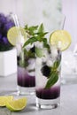 Refreshing summer cocktail Blackberry mojito