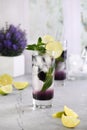 Refreshing summer cocktail Blackberry mojito