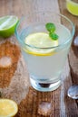 Refreshing Summer Cocktail with Citrus Fruit Ice and Mint on Wooden Table Royalty Free Stock Photo