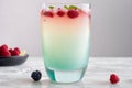 Refreshing summer cocktail with raspberries, blackberries and mint