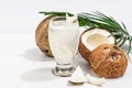 Refreshing summer Coconut martini. Non-alcoholic Margarita cocktail, trendy hard light, dark shadow Royalty Free Stock Photo