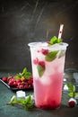 Refreshing summer drink lemon with mint, ice and raspberry with basil, ice. Royalty Free Stock Photo