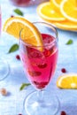 Refreshing summer drink with sliced orange, red currant, mint le Royalty Free Stock Photo