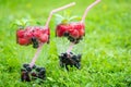 Refreshing summer drink with sparkling water and fresh berries Royalty Free Stock Photo