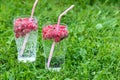 Refreshing summer drink with sparkling water and fresh berries Royalty Free Stock Photo