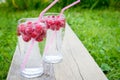 Refreshing summer drink with sparkling water and fresh berries Royalty Free Stock Photo