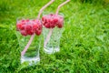 Refreshing summer drink with sparkling water and fresh berries Royalty Free Stock Photo