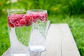 Refreshing summer drink with sparkling water and fresh berries Royalty Free Stock Photo