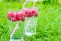 Refreshing summer drink with sparkling water and fresh berries Royalty Free Stock Photo