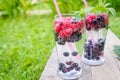 Refreshing summer drink with sparkling water and fresh berries Royalty Free Stock Photo