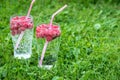 Refreshing summer drink with sparkling water and fresh berries Royalty Free Stock Photo