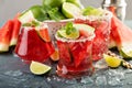 Watermelon margarita with limes Royalty Free Stock Photo
