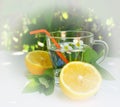 Refreshing summer homemade cocktail with lemon, against the background of green leaves of the garden trees Royalty Free Stock Photo