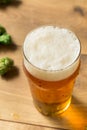 Refreshing Summer IPA Craft Beer