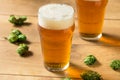 Refreshing Summer IPA Craft Beer