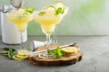 Refreshing summer margarita cocktail Royalty Free Stock Photo