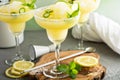 Refreshing summer margarita cocktail Royalty Free Stock Photo