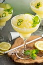 Refreshing summer margarita cocktail Royalty Free Stock Photo