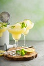 Refreshing summer margarita cocktail Royalty Free Stock Photo