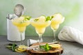 Refreshing summer margarita cocktail Royalty Free Stock Photo