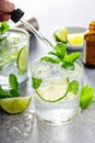 Refreshing summer mojito cocktail Royalty Free Stock Photo