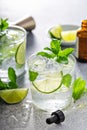 Refreshing summer mojito cocktail Royalty Free Stock Photo