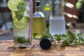 Refreshing summer mojito with ice cubes, fresh mint and lime. Mojito cocktail. Selective focus Royalty Free Stock Photo