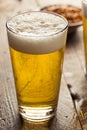 Refreshing Summer Pint of Beer Royalty Free Stock Photo