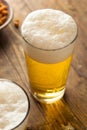 Refreshing Summer Pint of Beer Royalty Free Stock Photo