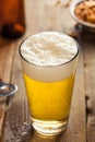 Refreshing Summer Pint of Beer Royalty Free Stock Photo