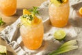 Refreshing Summer Tiki Cocktail Drink Royalty Free Stock Photo