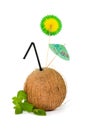 Refreshing tropical coconut drink Royalty Free Stock Photo