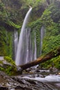 Refreshing view of Tiu Kelep waterfall, Lombok, Indonesia.