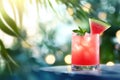 Refreshing watermelon cocktail with ice and mint on a sunny tropical background Royalty Free Stock Photo