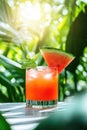 Refreshing watermelon cocktail with ice and mint on a sunny tropical background Royalty Free Stock Photo
