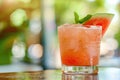 Refreshing Watermelon Cocktail with Mint Garnish in Sunlight