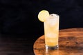 Refreshing Whiskey Ginger Cocktail