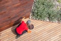 Refreshing of wood deck boards with UV protection pigment oil Royalty Free Stock Photo