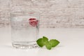 refreshment or detox water with mint and raspberry