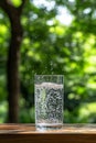 Refreshment in Nature Sparkling Water Splashing into a Glass with Tranquil Green Background Royalty Free Stock Photo